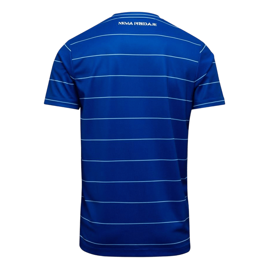 Camiseta Dinamo Zagreb 2025/26 Primera Equipación - Versión Hincha