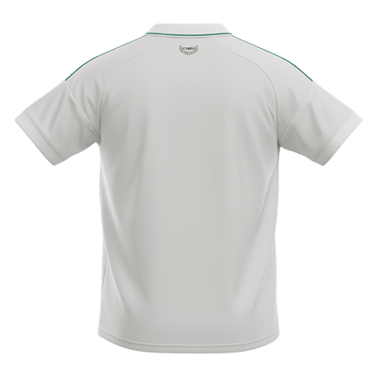 Camiseta Wales 2026 Segunda Equipación Copa del Mundo - Versión Hincha
