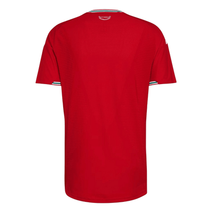 Camiseta Wales 2026 Primera Equipación Copa del Mundo - Versión Hincha